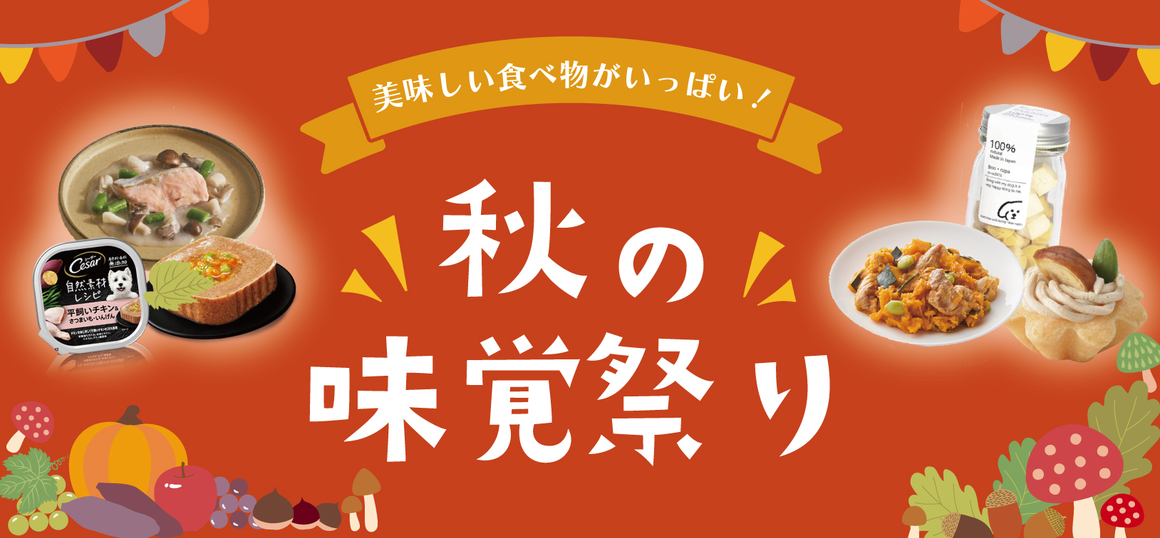 秋の味覚特集