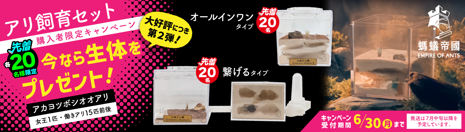 アリキャンペーン