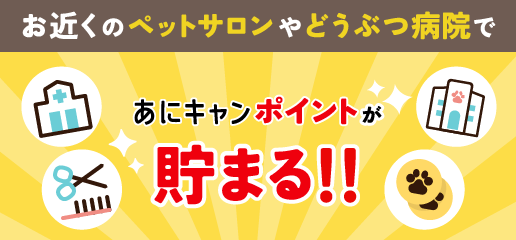 あにキャンポイントが貯まる