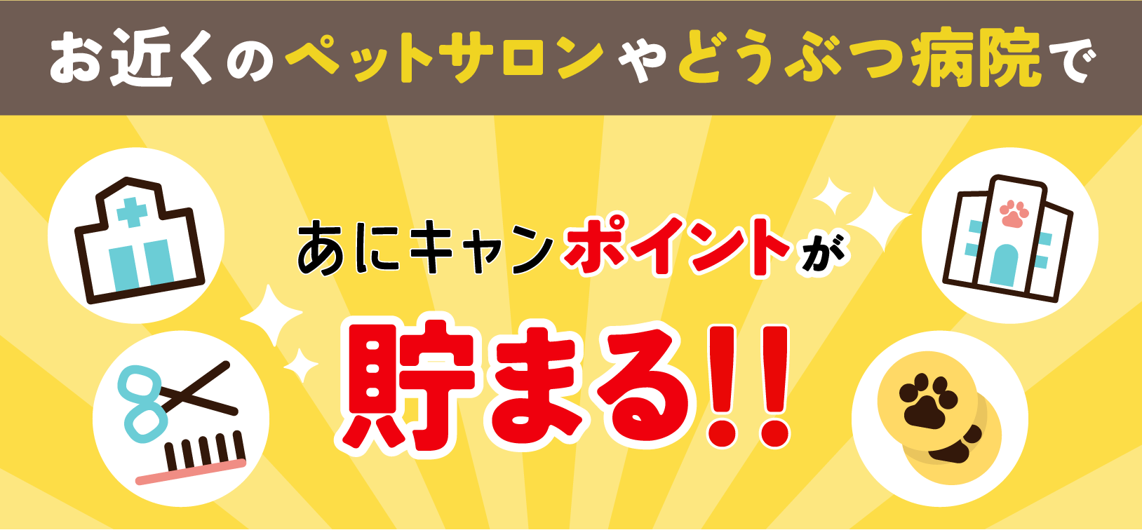 あにキャンポイントが貯まる