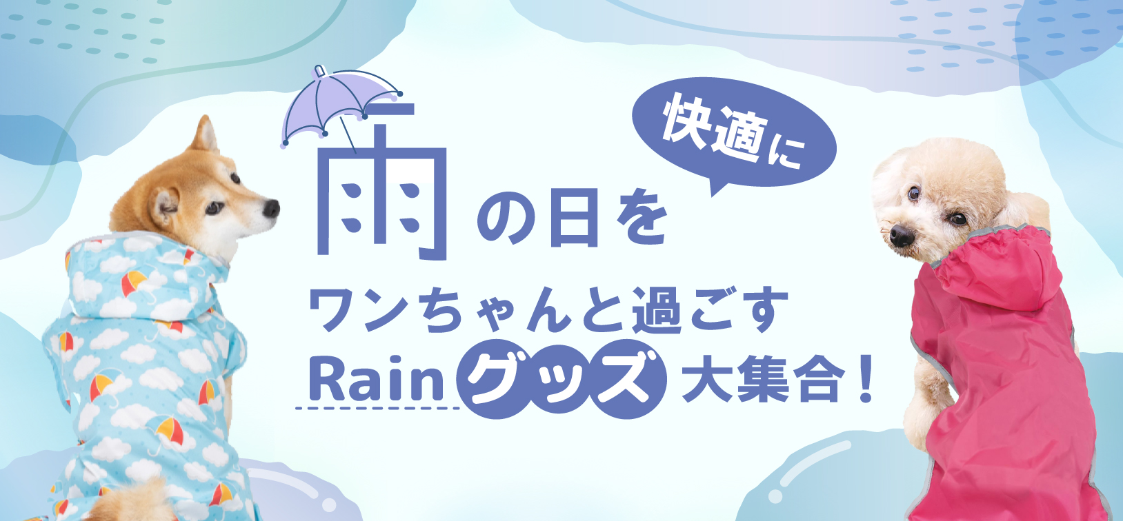 雨の日特集