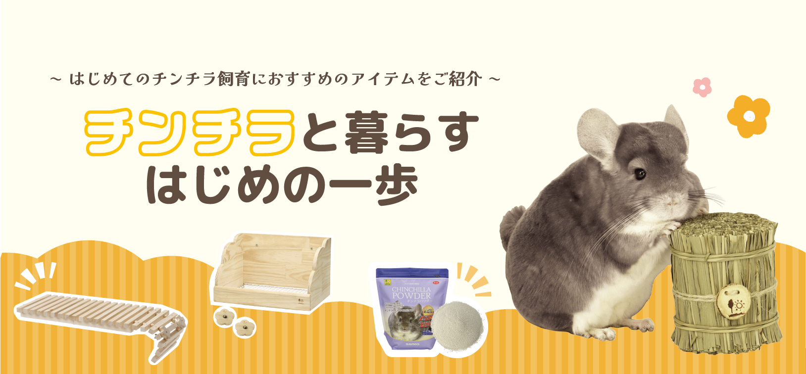 チンチラ特集