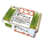 生野菜育成キット