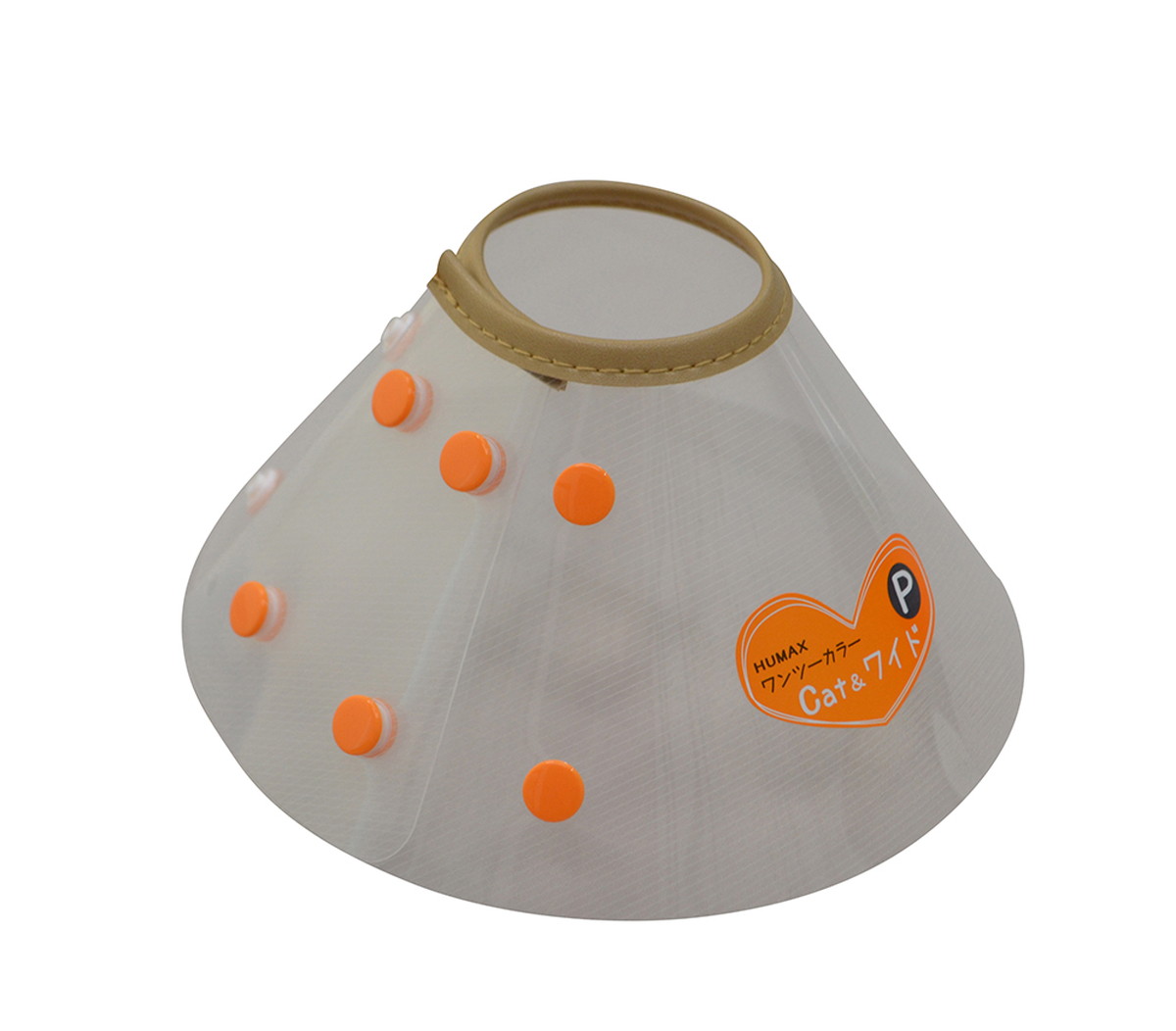 ワンツーカラー Cat＆ワイド P