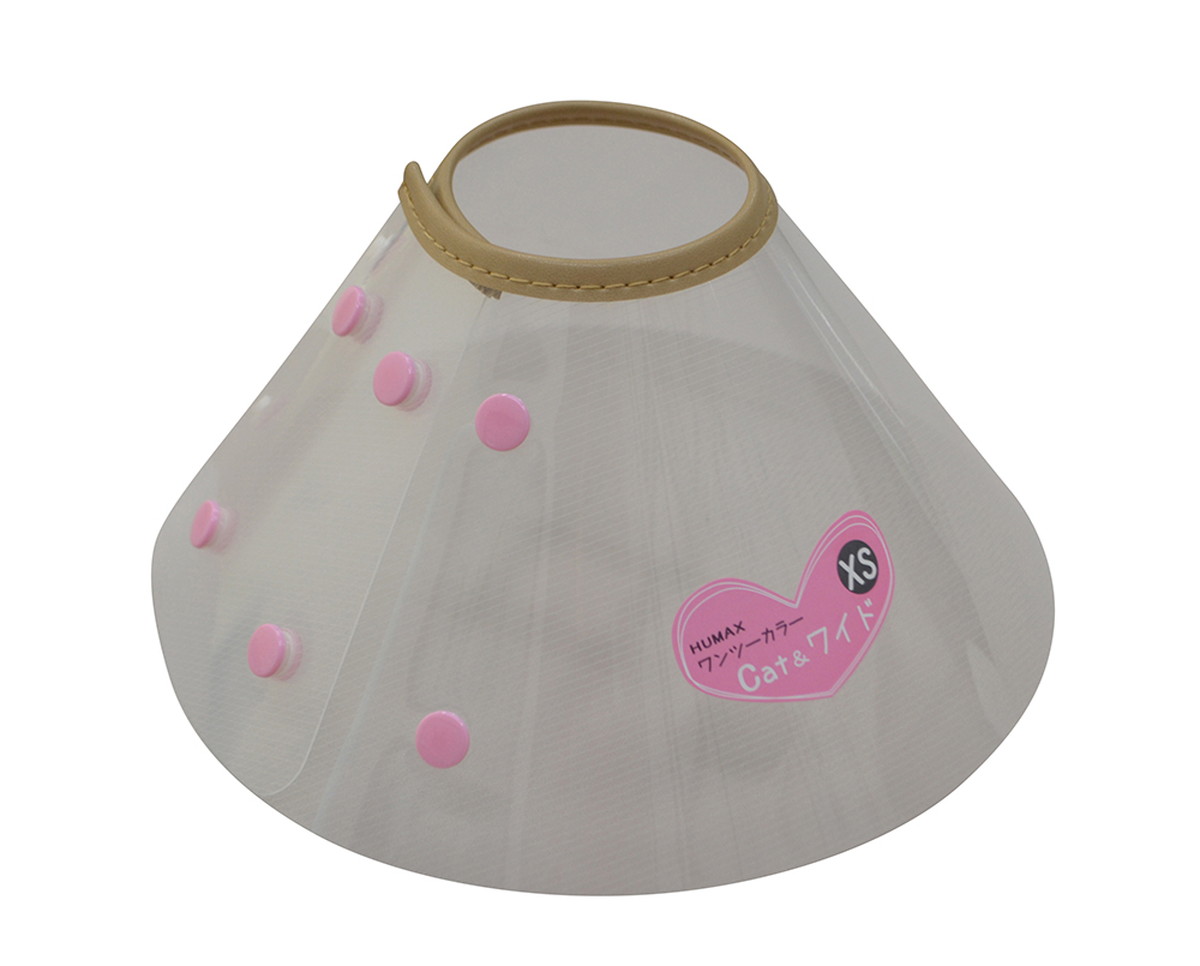 ワンツーカラー Cat＆ワイド XS