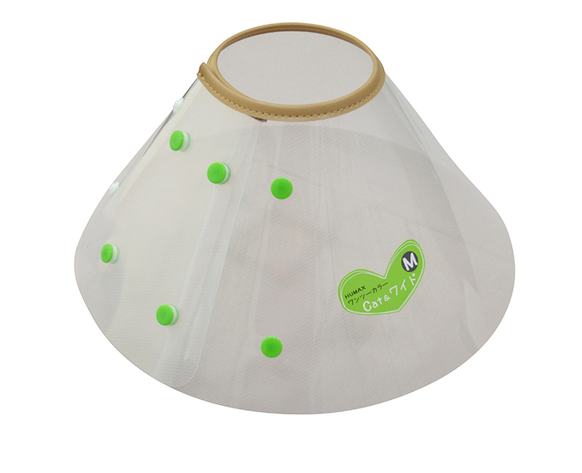 ワンツーカラー Cat＆ワイド M