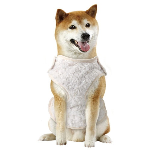 蓄熱着る毛布 M