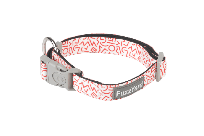 Fuzz Yard ネオ プレン カラー スクランブル L 25