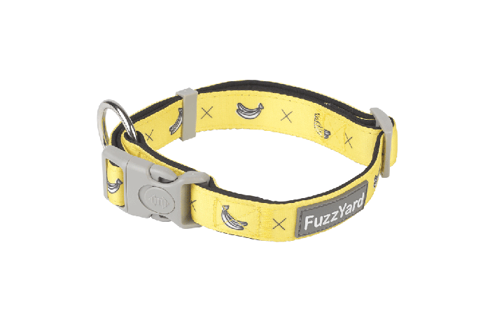 Fuzz Yard ネオ プレン カラー モンキー マニア L 25