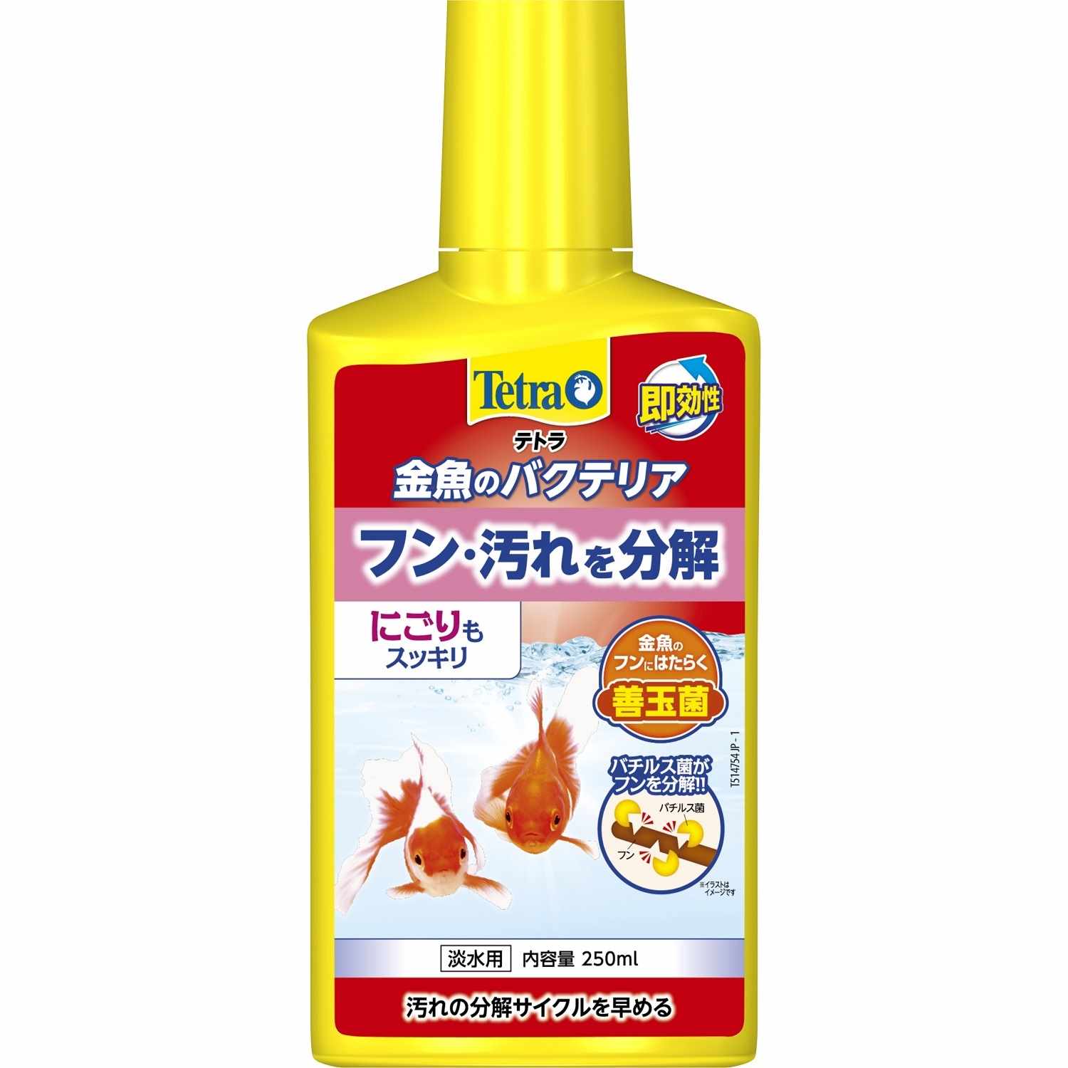Tetra テトラ 金魚のバクテリア 250ml