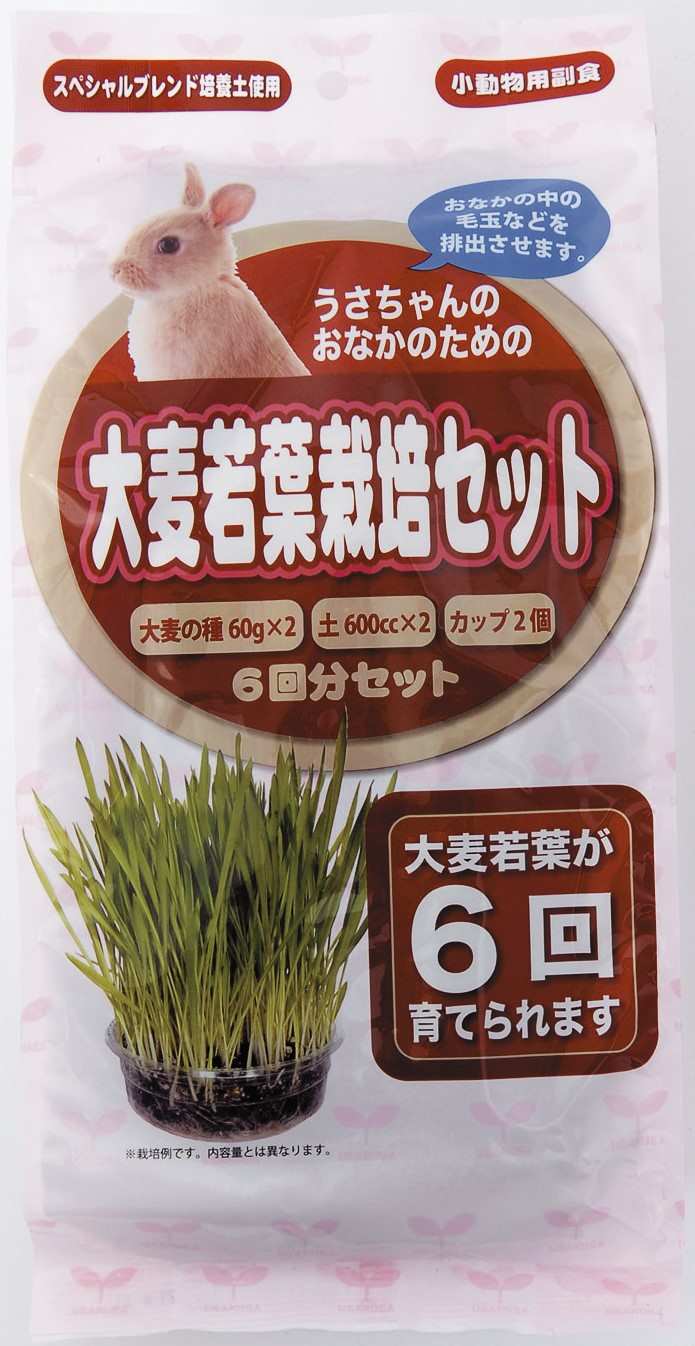 【7月31日終売予定】うさちゃん用大麦若葉栽培セット　6回分