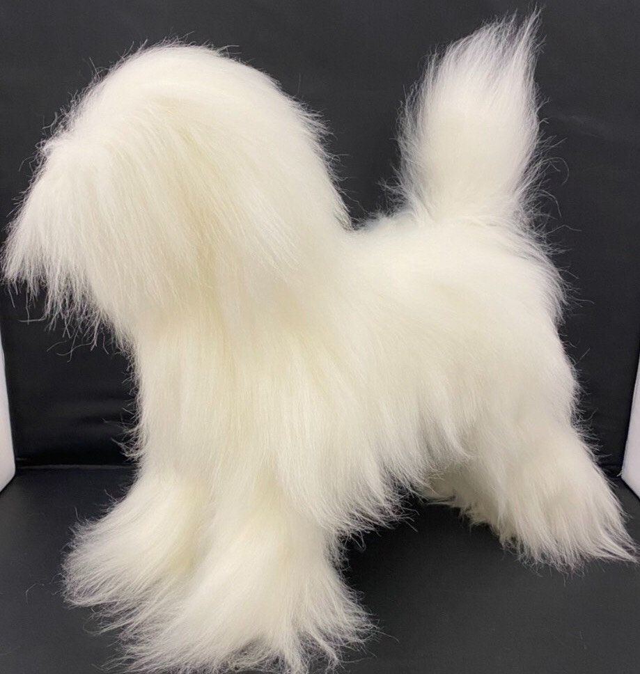 モデルドッグ トイプードル 毛