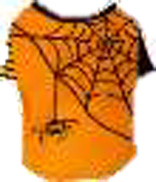 くものす オレンジ M