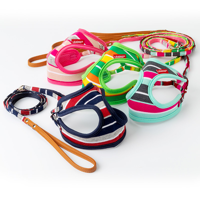 パステルボーダー フロントハーネスリード Sサイズ ネイビー