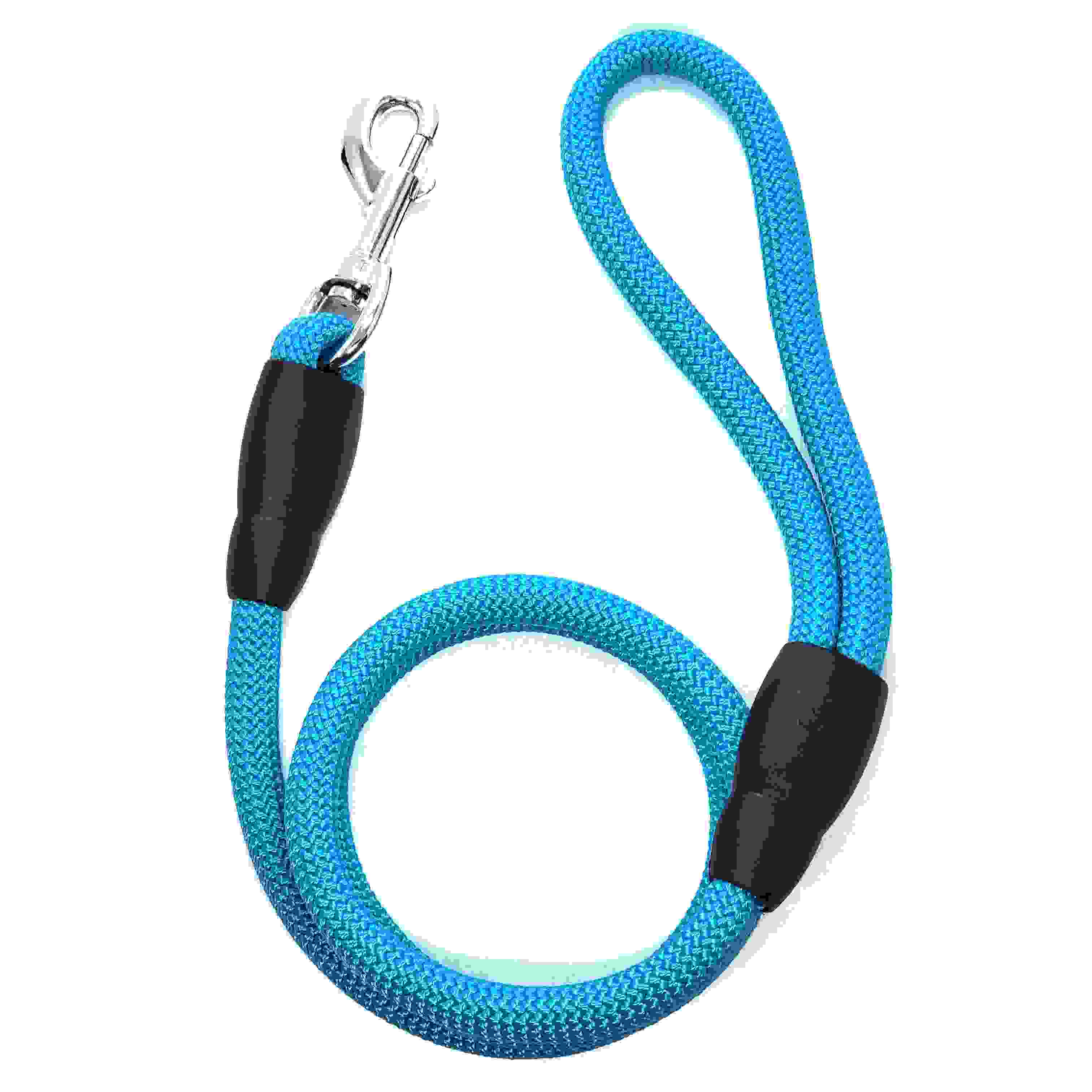 LEADOG 丸リード 12　ライトブルー