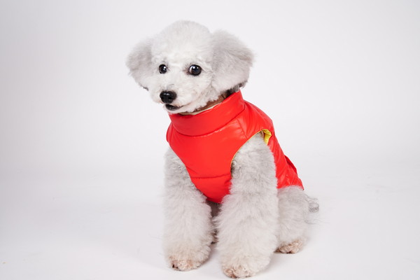 リアル ダウン 各サイズ 各色 （ 2号 レッド ）