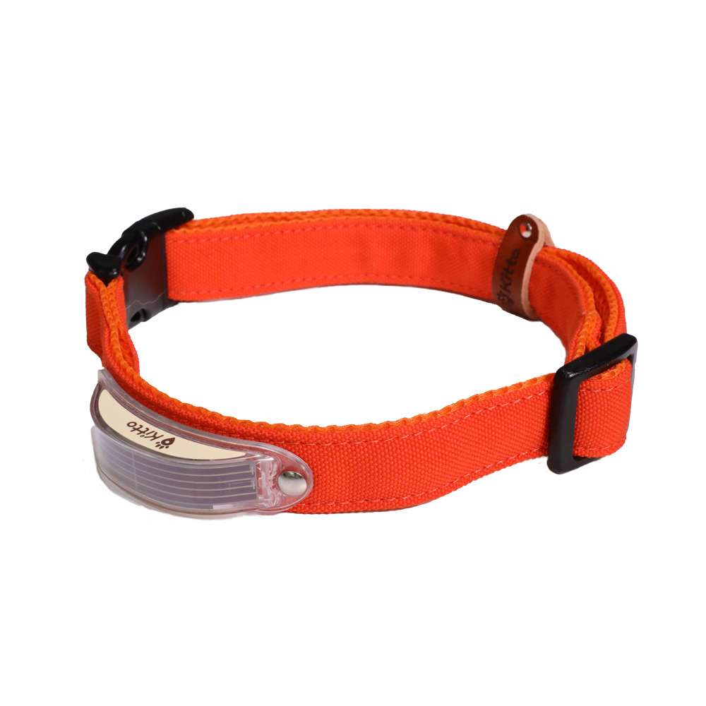 Kitto 犬用首輪 オレンジ（マンダリンオレンジ） M