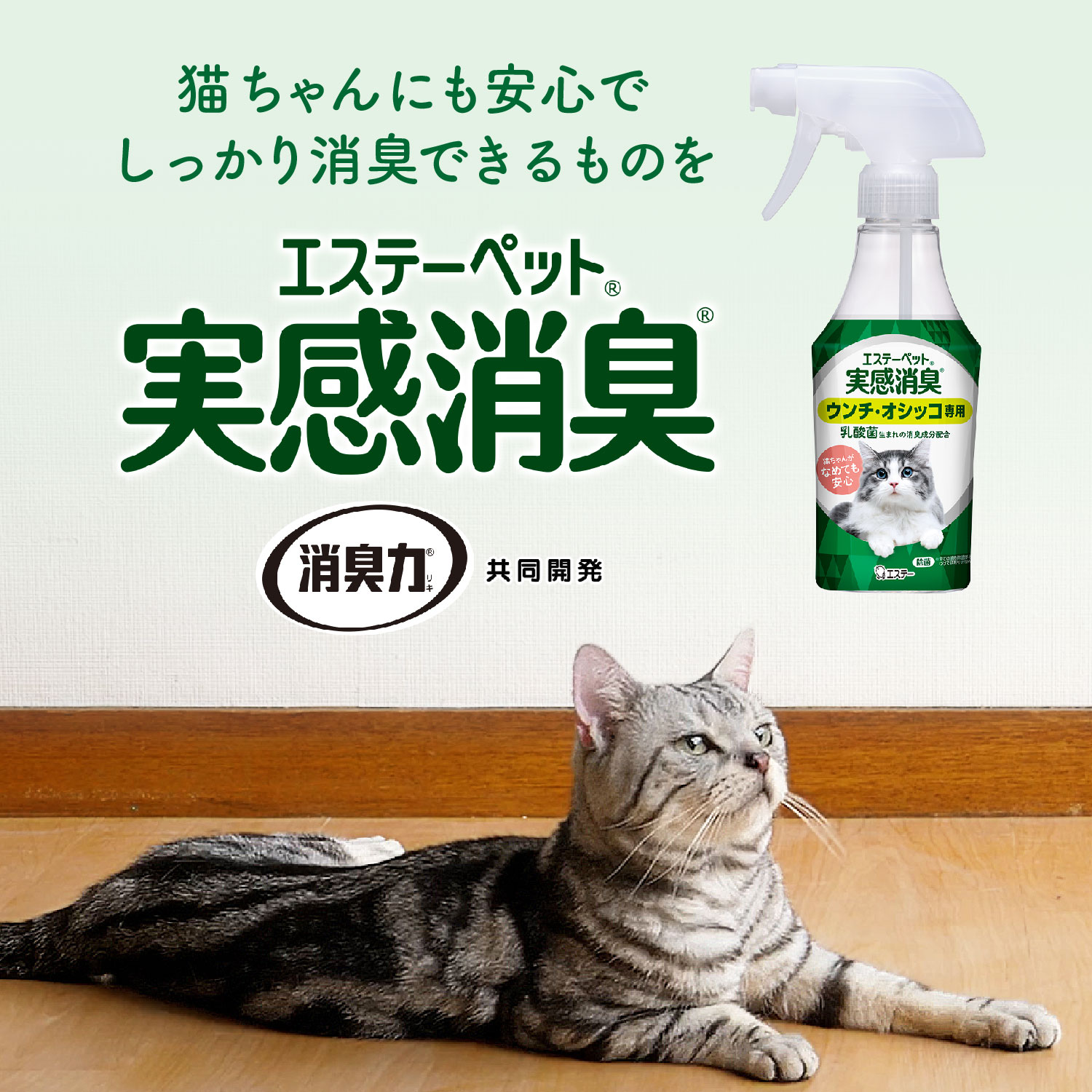 エステーペット 実感消臭スプレー 猫用 本体 フレッシュグリーンの香り 270ml