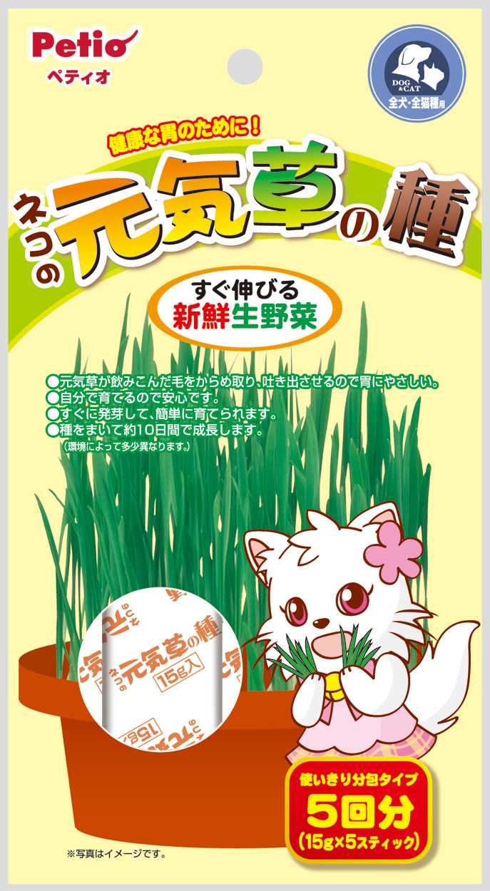 ペティオ ネコの元気草の種　15g×5包入