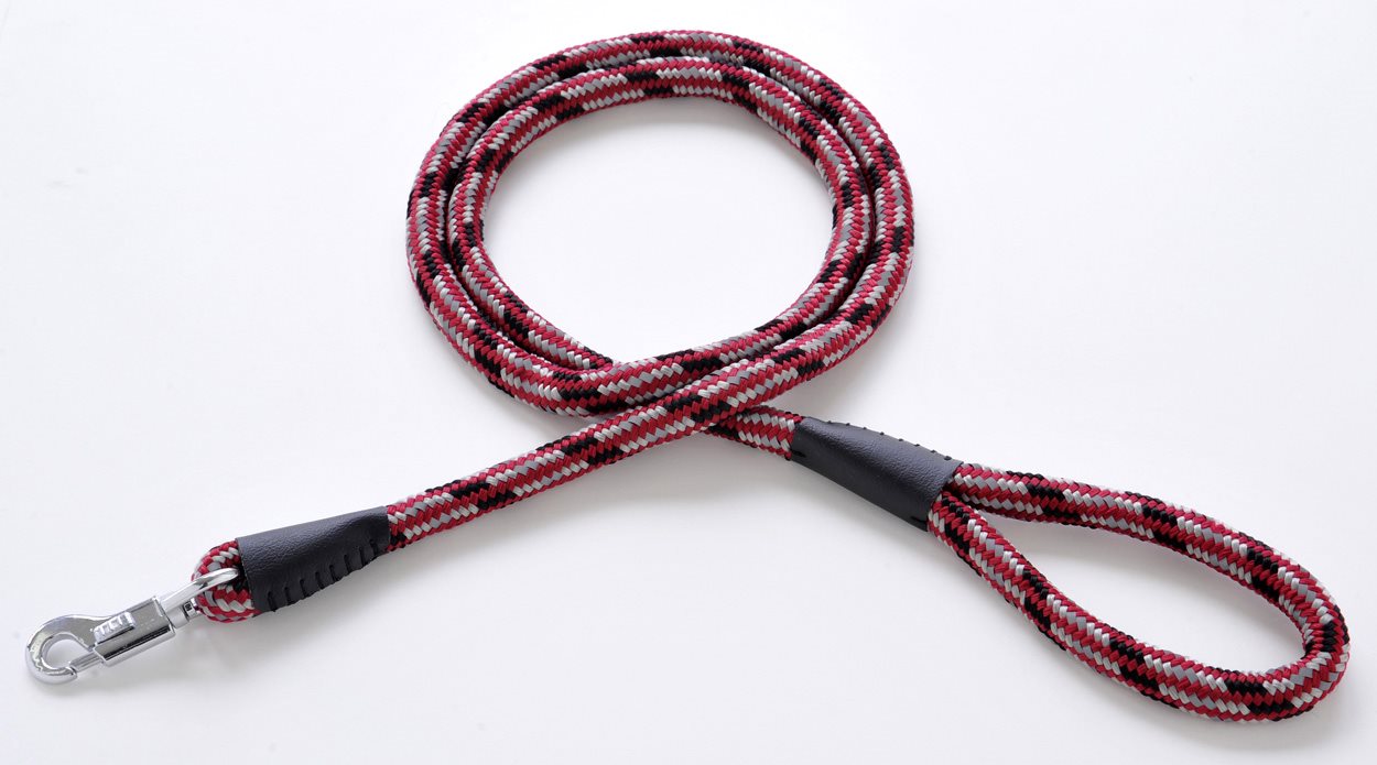 ペティオ BASIC　PLUS　ネオンプラスリード　10mm　レッド