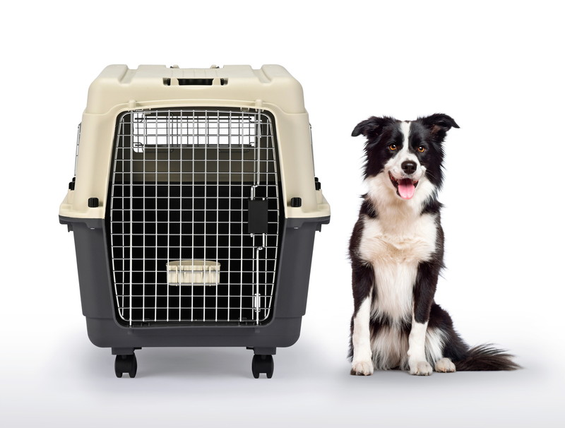 inuneru クレート L80