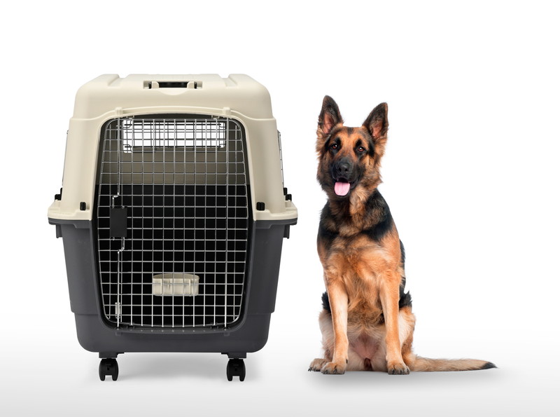 inuneru クレート L90