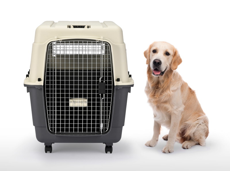 inuneru クレート L100