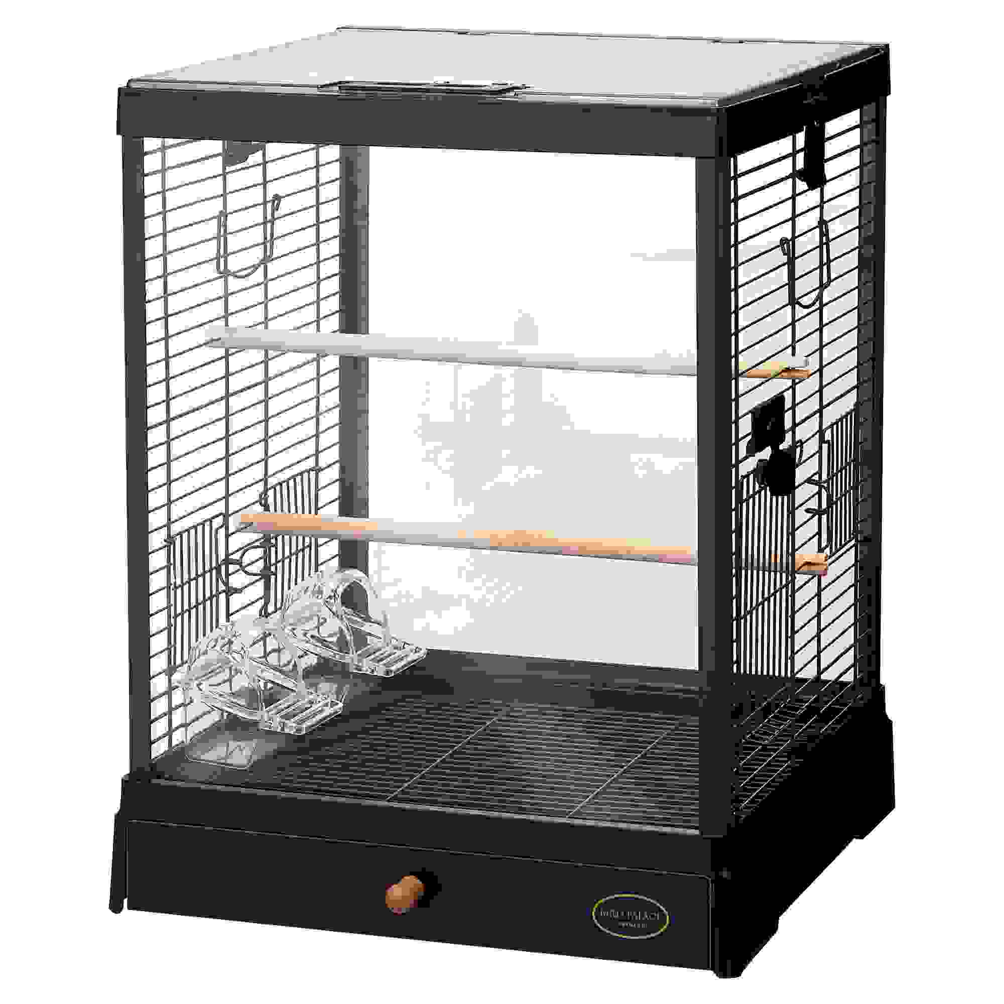 ミニマルランド バードパレス　クリアスクリーン　40BK