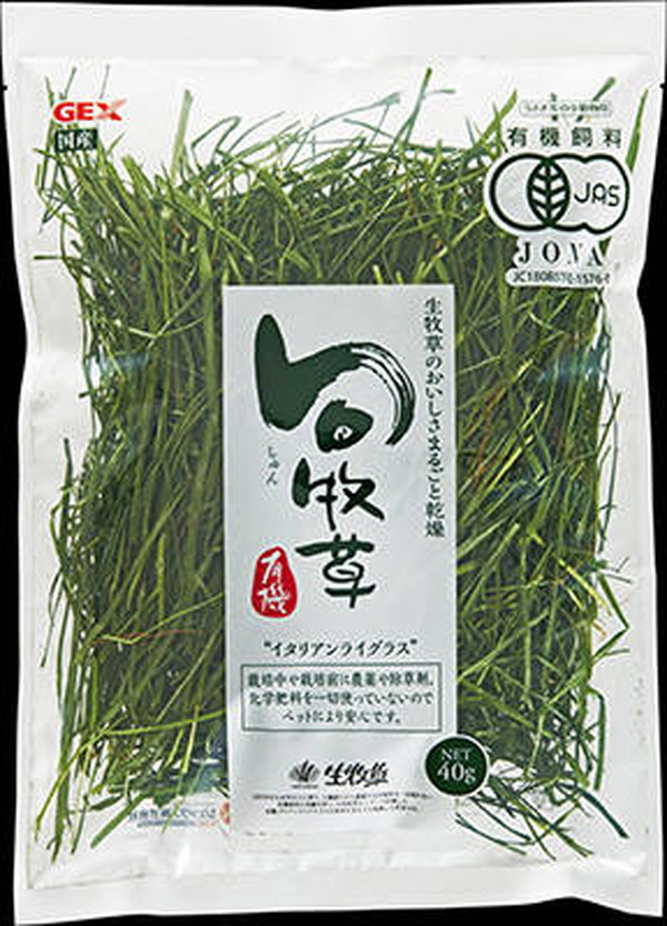 旬牧草 イタリアンライグラス 40g