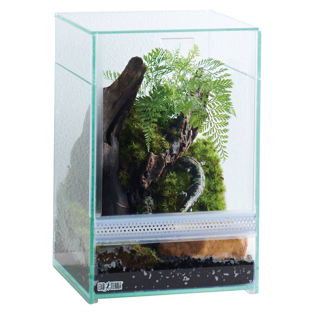 ジェックス レプテリア　クリアネオフィット　180