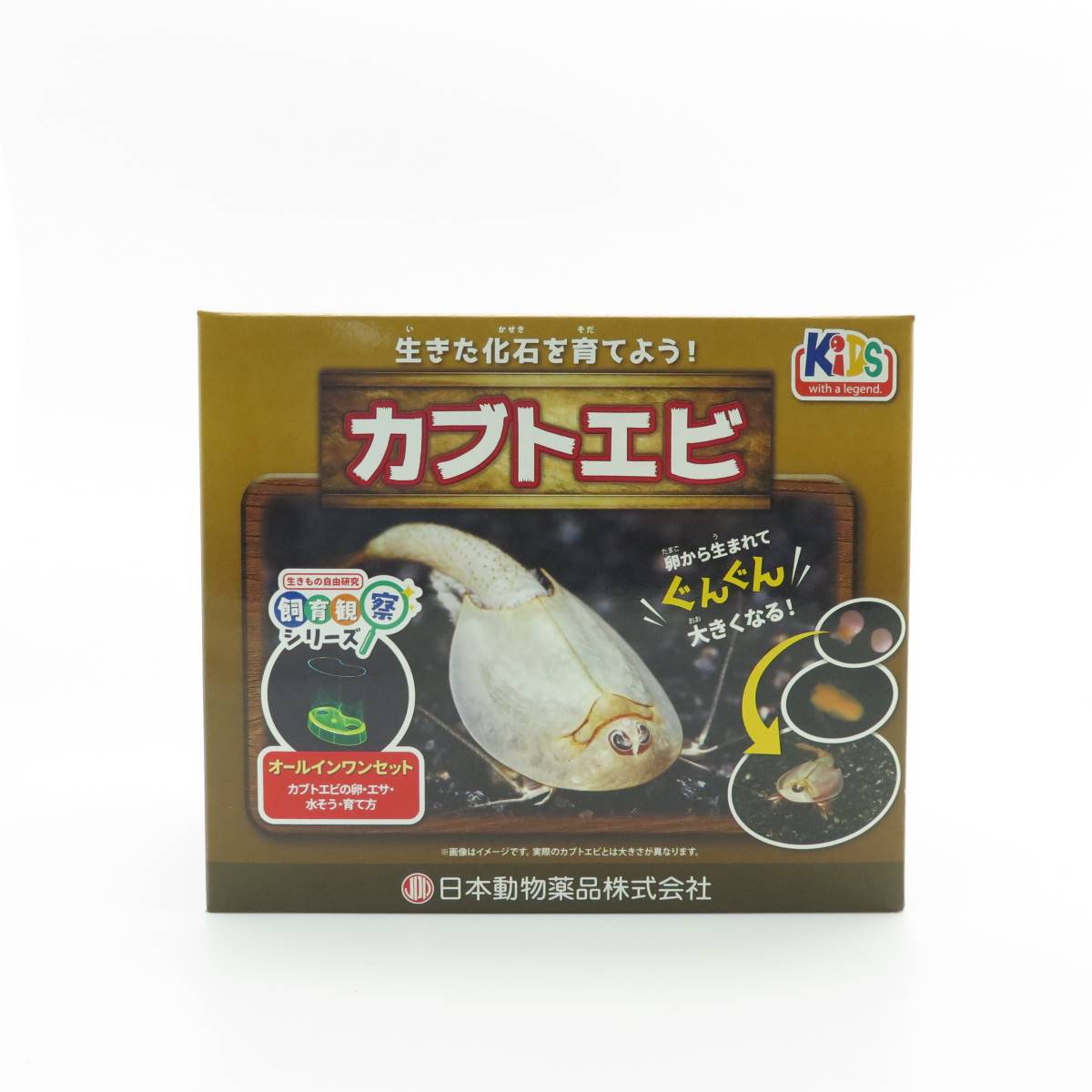 KID’S 飼育観察セット　カブトエビ