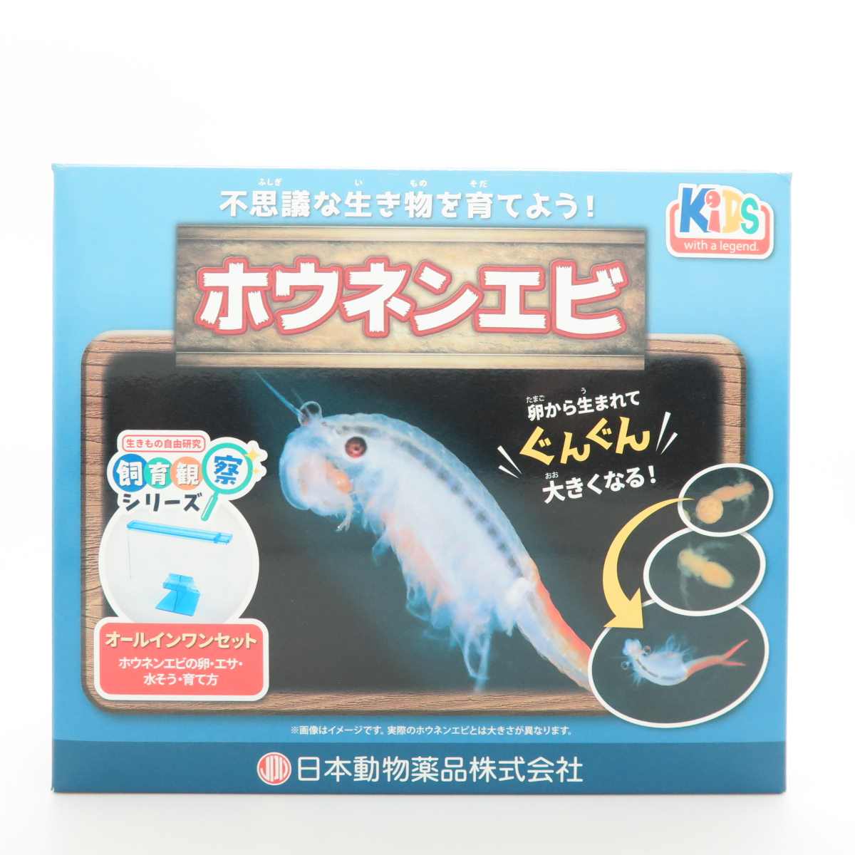 KID’S 飼育観察セット　ホウネンエビ