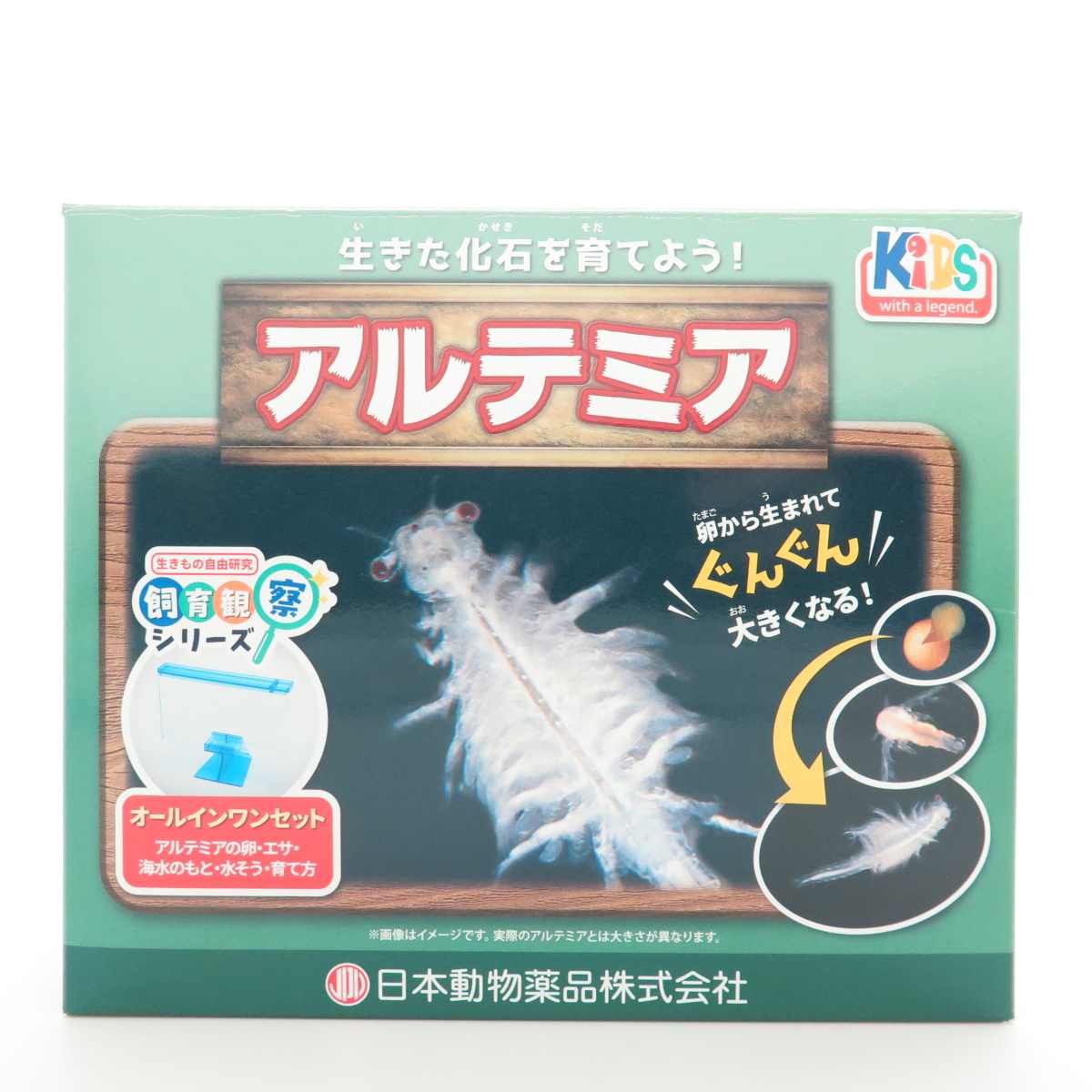 KID’S 飼育観察セット　アルテミア