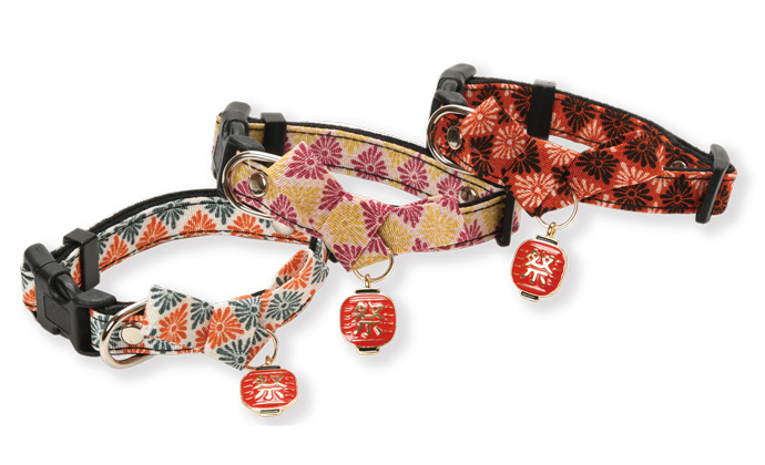 Dog Amo.k カラー わっしょい