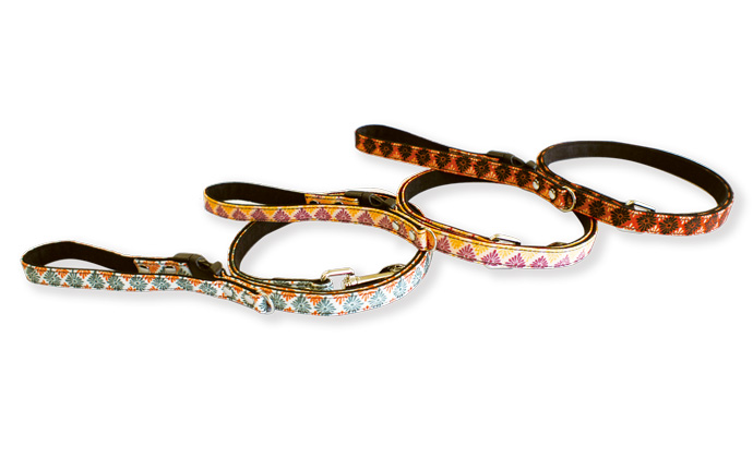 Dog Amo.k リード わっしょい