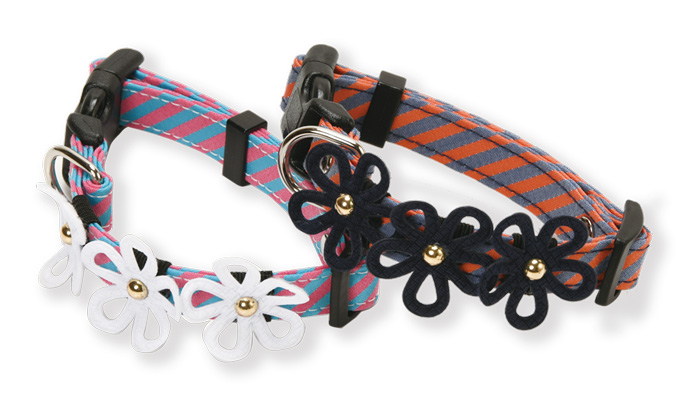 Dog Amo.k カラー デージー