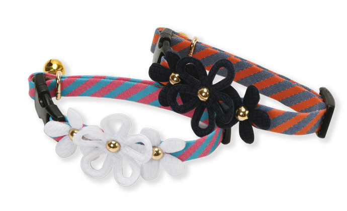 Cat Amo.k カラー デージー