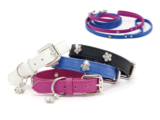 ダイヤモンドフラワー S