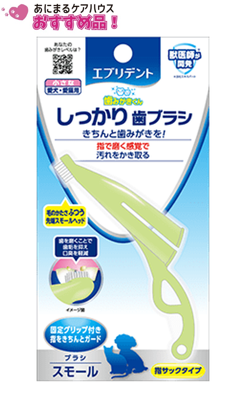 エブリデント しっかり 歯ブラシ スモール