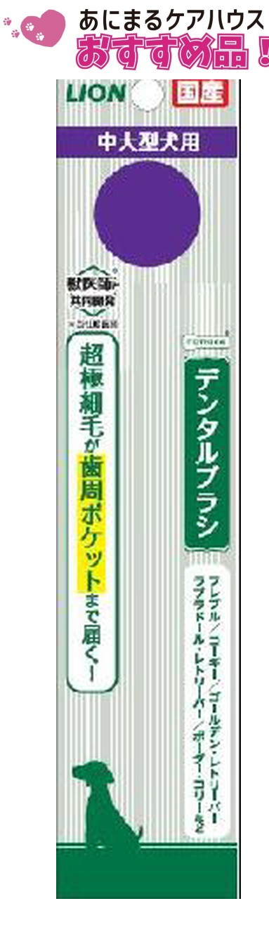 PETKISS デンタルブラシ 大きめヘッド 1本