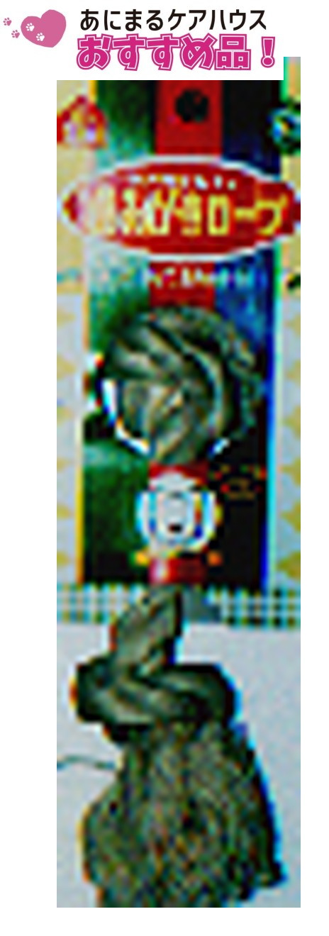 犬のおもちゃ 歯みがき ロープ S/M （ Sサイズ ）