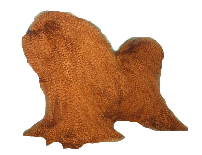 レッスンドッグ PUPPY 127-CT