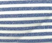 ブルーラメボーダー