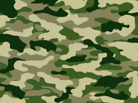 カモフラージュ