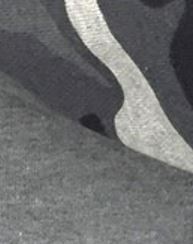 グレーアーミー