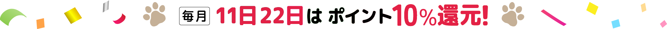 毎月11日22日はポイント10%還元 エントリー不要!進呈上限なし！